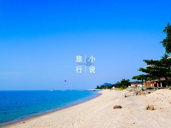 行尸走肉：米琼恩